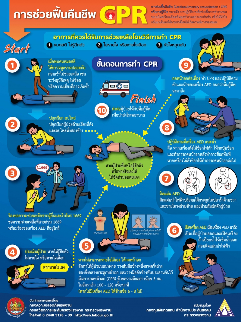 การช่วยฟื้นคืนชีพ CPR